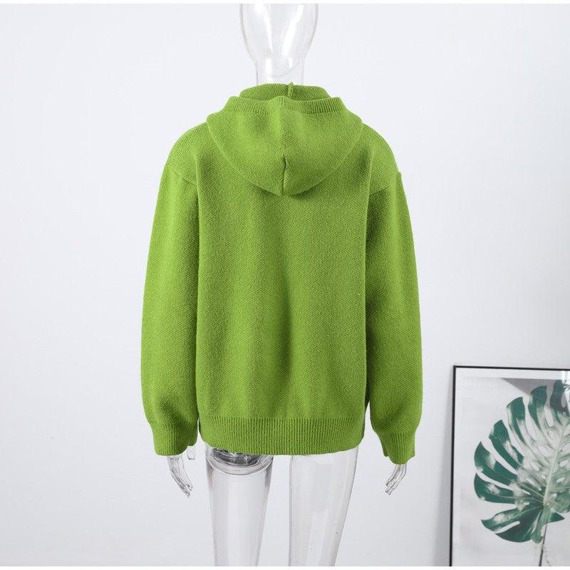 Aria Hooded Knit Pullover Sweater