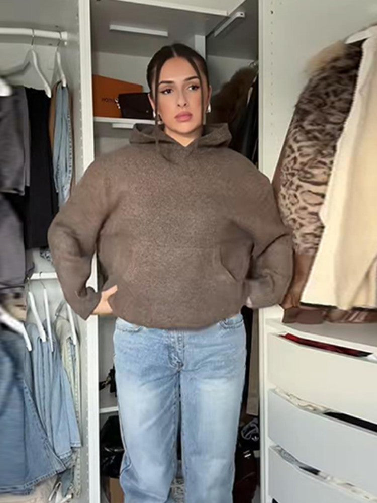 Aria Hooded Knit Pullover Sweater