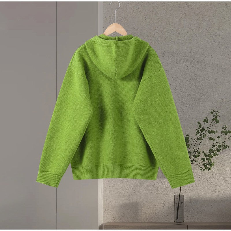 Aria Hooded Knit Pullover Sweater