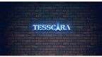 TESSCARA Mulheres Outono Inverno De Lã Mistura Básica Jaqueta Casaco Feminino Cashmere Quente Trench Office Manto Casacos Casacos & Coats